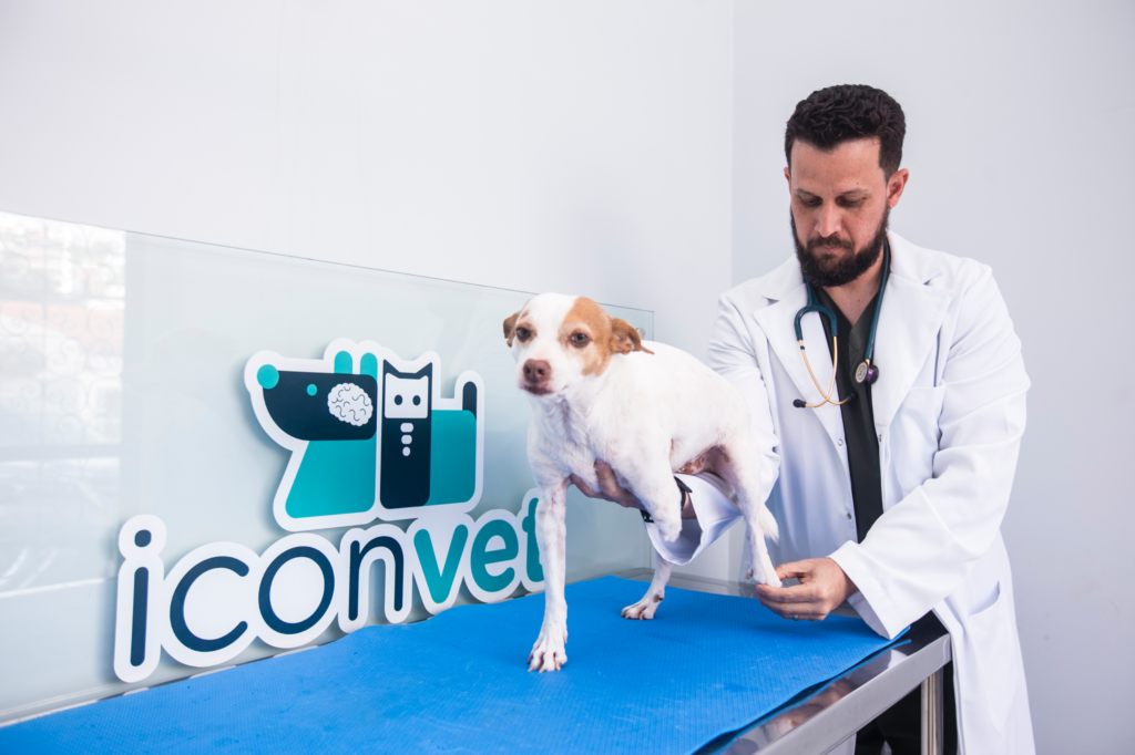 Equipe e estrutura da Iconvet
